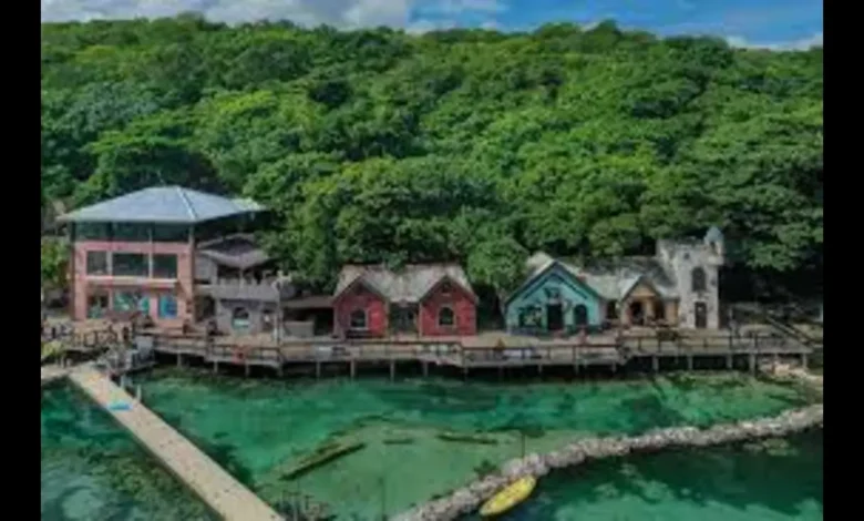 Dolphin Cove Jamaica: