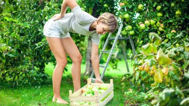 Gardening a Pain in the Neck? Here's How to Make it Easier 